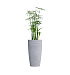 Кашпо CONCRETIKA CONUS EROSIA WHITE D40H80 заказать и купить с доставкой из магазина производителя Конкретика по цене 22 950 руб.