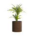 Кашпо CONCRETIKA CYLINDER EROSIA BROWN D60H65 заказать и купить с доставкой из магазина производителя Конкретика по цене 35 700 руб.