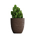 Кашпо CONCRETIKA VASE 3 EROSIA BROWN D50H55 заказать и купить с доставкой из магазина производителя Конкретика по цене 22 950 руб.
