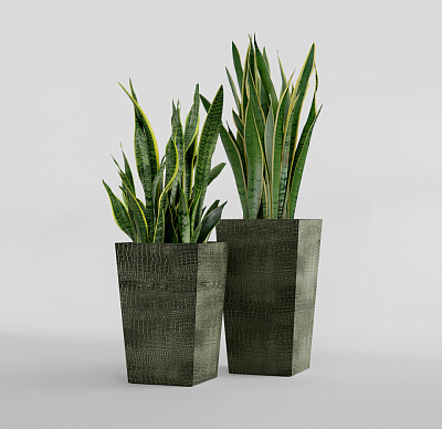 Кашпо CONCRETIKA CONIC CAYMAN GREEN 30x30x50 заказать и купить Кашпо CONCRETIKA CONIC CAYMAN GREEN 30x30x50 заказать и купить по цене 15 300 руб ниже рынка от производителя с доставкой.
