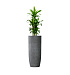 Кашпо CONCRETIKA YAR SMOKEY BLUE D46H110 заказать и купить с доставкой из магазина производителя Конкретика по цене 45 240 руб.