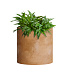 Кашпо CONCRETIKA CYLINDER CLASSIC CLAY D25H25 заказать и купить с доставкой из магазина производителя Конкретика по цене 6 270 руб.