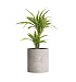 Кашпо CONCRETIKA CYLINDER CONCRETE WHITE D60H65 заказать и купить с доставкой из магазина производителя Конкретика по цене 37 260 руб.