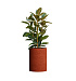 Кашпо CONCRETIKA CYLINDER EROSIA CORAL D50H65 заказать и купить с доставкой из магазина производителя Конкретика по цене 31 890 руб.