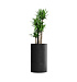 Кашпо CONCRETIKA CYLINDER NERO D45H80 заказать и купить с доставкой из магазина производителя Конкретика по цене 28 830 руб.