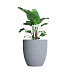 Кашпо CONCRETIKA VASE 3 EROSIA WHITE D90H95 заказать и купить с доставкой из магазина производителя Конкретика по цене 89 520 руб.