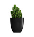 Кашпо CONCRETIKA VASE 3 NERO D50H55 заказать и купить с доставкой из магазина производителя Конкретика по цене 19 960 руб.