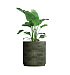 Кашпо CONCRETIKA CYLINDER XL CAYMAN GREEN D80H85 заказать и купить с доставкой из магазина производителя Конкретика по цене 67 590 руб.