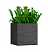 Кашпо CONCRETIKA CUBE EROSIA BLACK 60x60x60 заказать и купить с доставкой из магазина производителя Конкретика по цене 37 130 руб.