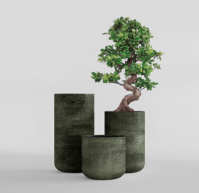 Кашпо CONCRETIKA TOPPER CAYMAN GREEN D40H60 заказать и купить Кашпо CONCRETIKA TOPPER CAYMAN GREEN D40H60 заказать и купить по цене 20 410 руб ниже рынка от производителя с доставкой.