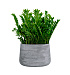 Кашпо CONCRETIKA CONE CONCRETE GREY LIGHT D60H42 заказать и купить с доставкой из магазина производителя Конкретика по цене 29 280 руб.
