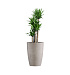 Кашпо CONCRETIKA CONUS CONCRETE WHITE D50H69 заказать и купить с доставкой из магазина производителя Конкретика по цене 35 120 руб.
