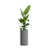 Кашпо CONCRETIKA CYLINDER LONDON GREY D40H80 заказать и купить с доставкой из магазина производителя Конкретика по цене 22 950 руб.
