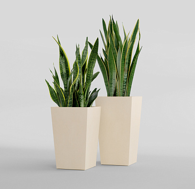 Кашпо CONCRETIKA CONIC SAHARA 30x30x50 заказать и купить Кашпо CONCRETIKA CONIC SAHARA 30x30x50 заказать и купить по цене 13 310 руб ниже рынка от производителя с доставкой.