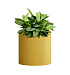 Кашпо CONCRETIKA CYLINDER GOLD D30H30 заказать и купить с доставкой из магазина производителя Конкретика по цене 10 200 руб.