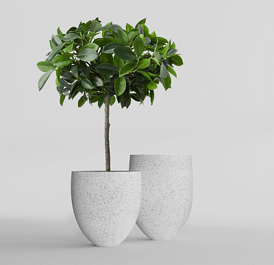 Кашпо CONCRETIKA BARREL EGG WHITE D41H60 заказать и купить Кашпо CONCRETIKA BARREL EGG WHITE D41H60 заказать и купить по цене 18 850 руб ниже рынка от производителя с доставкой.