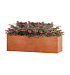 Кашпо CONCRETIKA BALCONY RED CLAY 60x20x20 заказать и купить с доставкой из магазина производителя Конкретика по цене 10 020 руб.