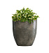 Кашпо CONCRETIKA VASE 3 BREZENT GREY D40H45 заказать и купить с доставкой из магазина производителя Конкретика по цене 15 970 руб.