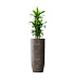 Кашпо CONCRETIKA YAR TAUPE CONCRETE D46H110 заказать и купить с доставкой из магазина производителя Конкретика по цене 45 240 руб.