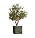 Кашпо CONCRETIKA CUBE CAYMAN GREEN 50x50x50 заказать и купить с доставкой из магазина производителя Конкретика по цене 25 920 руб.
