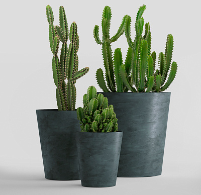 Кашпо CONCRETIKA CRATER OCEAN GREEN D50H40 заказать и купить Кашпо CONCRETIKA CRATER OCEAN GREEN D50H40 заказать и купить по цене 18 220 руб ниже рынка от производителя с доставкой.