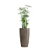 Кашпо CONCRETIKA CONUS SMOKEY GREY D40H80 заказать и купить с доставкой из магазина производителя Конкретика по цене 23 950 руб.