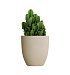 Кашпо CONCRETIKA VASE 3 SAHARA D50H55 заказать и купить с доставкой из магазина производителя Конкретика по цене 19 960 руб.