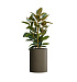 Кашпо CONCRETIKA CYLINDER OLIVE D50H65 заказать и купить с доставкой из магазина производителя Конкретика по цене 27 720 руб.