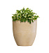 Кашпо CONCRETIKA VASE 3 LEMON D40H45 заказать и купить с доставкой из магазина производителя Конкретика по цене 15 040 руб.