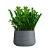 Кашпо CONCRETIKA CONE EROSIA GREY D60H42 заказать и купить с доставкой из магазина производителя Конкретика по цене 27 570 руб.