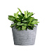 Кашпо CONCRETIKA CRATER CONCRETE GREY LIGHT D30H24 заказать и купить с доставкой из магазина производителя Конкретика по цене 6 650 руб.