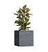Кашпо CONCRETIKA CUBE EROSIA GREY 70x70x70 заказать и купить с доставкой из магазина производителя Конкретика по цене 62 990 руб.