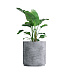 Кашпо CONCRETIKA CYLINDER XL CONCRETE GREY LIGHT D80H85 заказать и купить с доставкой из магазина производителя Конкретика по цене 70 520 руб.