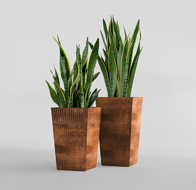 Кашпо CONCRETIKA CONIC CAYMAN BROWN 40x40x70 заказать и купить Кашпо CONCRETIKA CONIC CAYMAN BROWN 40x40x70 заказать и купить по цене 28 060 руб ниже рынка от производителя с доставкой.