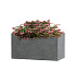 Кашпо CONCRETIKA BALCONY SMOKEY BLUE 40x20x20 заказать и купить с доставкой из магазина производителя Конкретика по цене 7 990 руб.