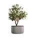 Кашпо CONCRETIKA CYLINDER XL CONCRETE WHITE D70H45 заказать и купить с доставкой из магазина производителя Конкретика по цене 37 250 руб.