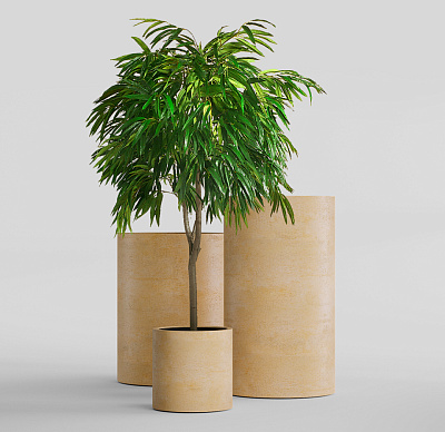 Кашпо CONCRETIKA CYLINDER LEMON D25H25 заказать и купить Кашпо CONCRETIKA CYLINDER LEMON D25H25 заказать и купить по цене 6 270 руб ниже рынка от производителя с доставкой.