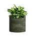 Кашпо CONCRETIKA CYLINDER CAYMAN GREEN D30H30 заказать и купить с доставкой из магазина производителя Конкретика по цене 10 200 руб.