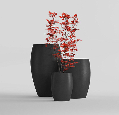 Кашпо CONCRETIKA OVAL NERO D30H41 заказать и купить Кашпо CONCRETIKA OVAL NERO D30H41 заказать и купить по цене 9 980 руб ниже рынка от производителя с доставкой.