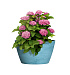Кашпо CONCRETIKA BOWL BLUE SKY D52H29 заказать и купить с доставкой из магазина производителя Конкретика по цене 12 530 руб.