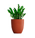 Кашпо CONCRETIKA VASE 3 TERRACOTTA D60H65 заказать и купить с доставкой из магазина производителя Конкретика по цене 34 050 руб.