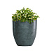 Кашпо CONCRETIKA VASE 3 OCEAN GREEN D40H45 заказать и купить с доставкой из магазина производителя Конкретика по цене 15 970 руб.