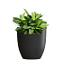 Кашпо CONCRETIKA VASE 3 EGG BLACK D30H32 заказать и купить с доставкой из магазина производителя Конкретика по цене 9 320 руб.