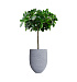 Кашпо CONCRETIKA BARREL EROSIA WHITE D41H60 заказать и купить с доставкой из магазина производителя Конкретика по цене 21 680 руб.