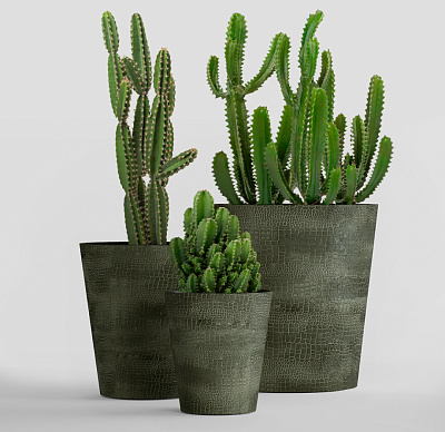 Кашпо CONCRETIKA CRATER CAYMAN GREEN D40H35 заказать и купить Кашпо CONCRETIKA CRATER CAYMAN GREEN D40H35 заказать и купить по цене 11 480 руб ниже рынка от производителя с доставкой.