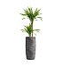 Кашпо CONCRETIKA CIGAR CONCRETE GREY DARK D43H92 заказать и купить с доставкой из магазина производителя Конкретика по цене 39 390 руб.