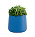Кашпо CONCRETIKA CONE DARK BLUE D32H36 заказать и купить с доставкой из магазина производителя Конкретика по цене 10 200 руб.