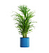 Кашпо CONCRETIKA CYLINDER DARK BLUE D40H40 заказать и купить с доставкой из магазина производителя Конкретика по цене 14 410 руб.