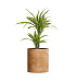 Кашпо CONCRETIKA CYLINDER CLASSIC CLAY D60H65 заказать и купить с доставкой из магазина производителя Конкретика по цене 35 080 руб.