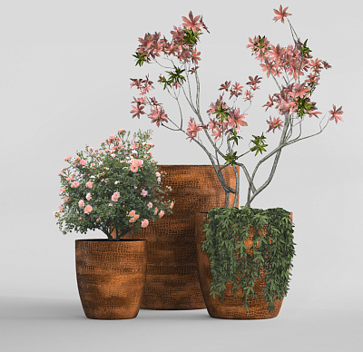Кашпо CONCRETIKA VASE 3 CAYMAN BROWN D60H65 заказать и купить Кашпо CONCRETIKA VASE 3 CAYMAN BROWN D60H65 заказать и купить по цене 39 180 руб ниже рынка от производителя с доставкой.